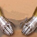 Par de guanteletes cincelados