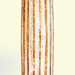 COLUMNA DE MADERA