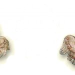 CABEZAS DE ÁNGEL PEQUEÑAS